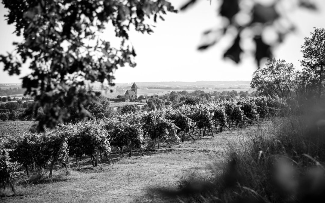 « A hauteur d’Hommes. Plaimont, mémoires vives d’une aventure vigneronne », Plaimont