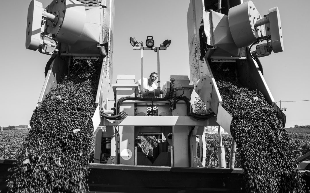 « Tout a commencé par une rencontre. Mémoires des Vignerons de Puisseguin Lussac Saint-Emilion », Puisseguin